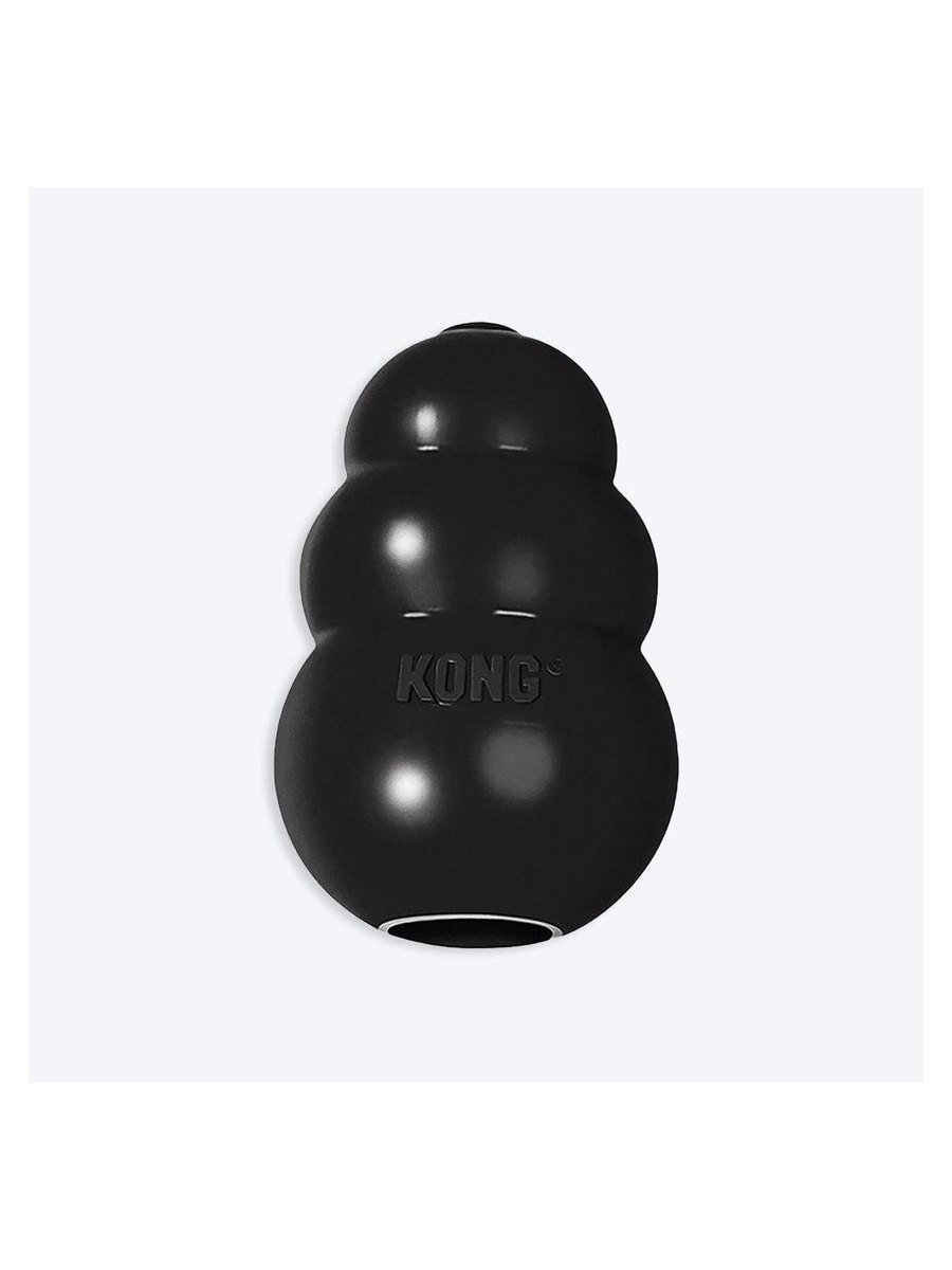KONG Extreme Dog Toy, Large